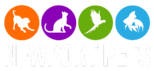newport pets